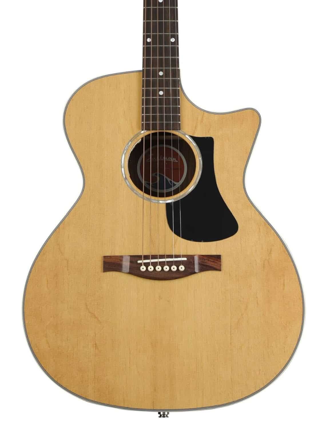 PCH2 Grand Auditorium Cut Away Electric